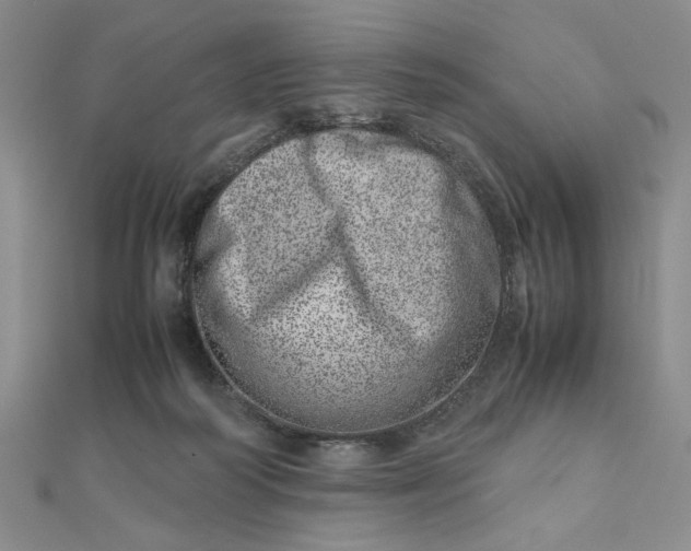 X0000111660218200907311145