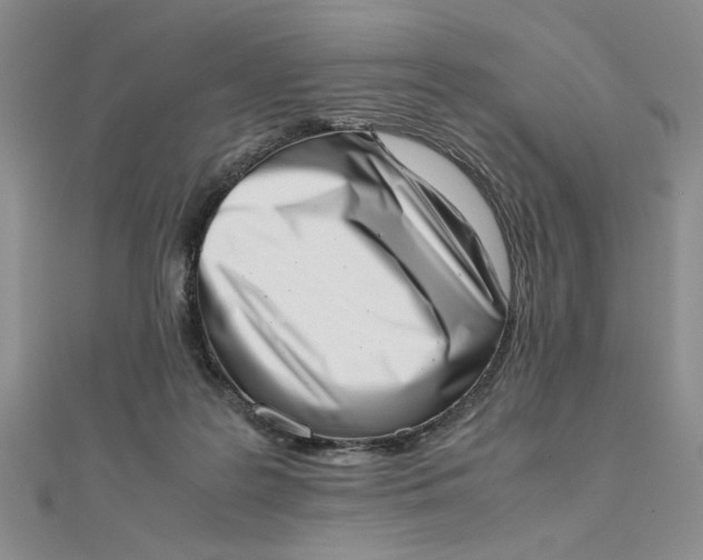 X0000111660219200907311145