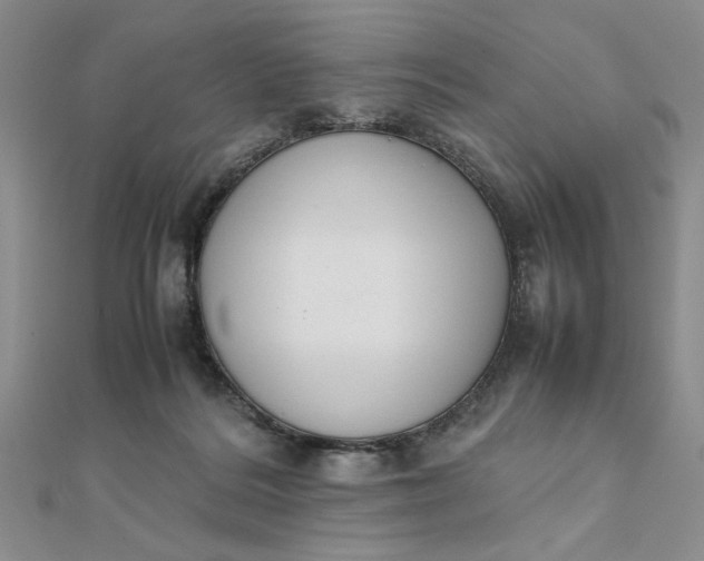 X0000111660220200907311144