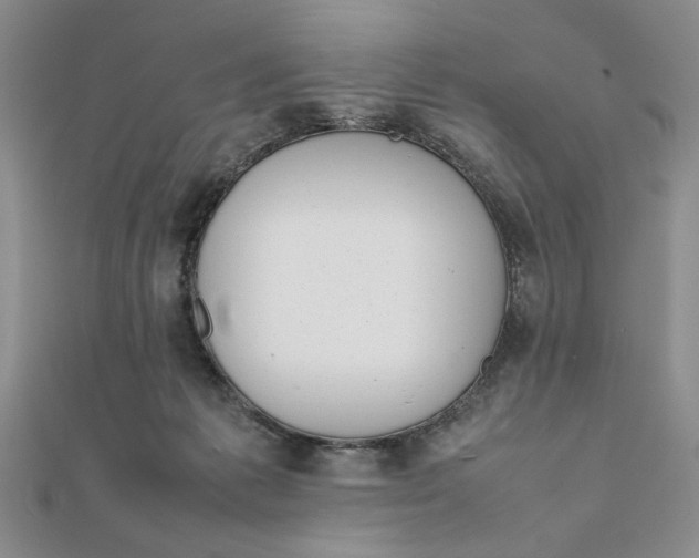 X0000111660221200907311144