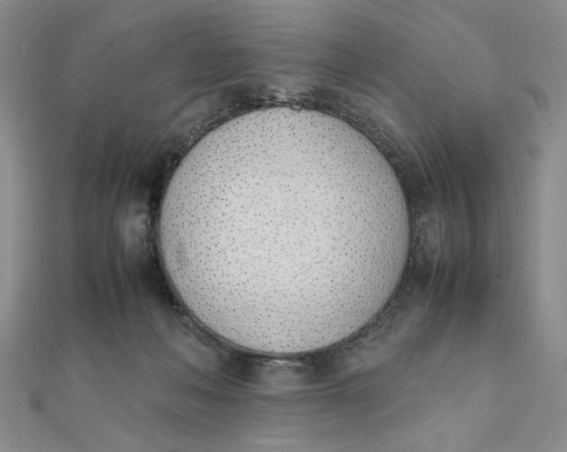 X0000111660222200907311144