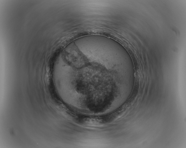 X0000111660223200907311144