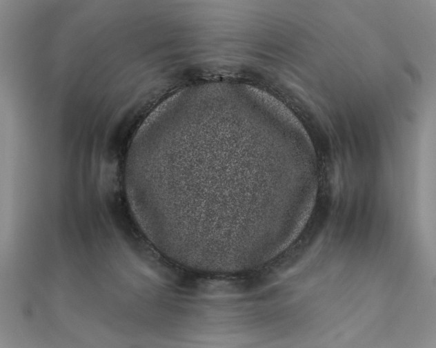 X0000111660224200907311144