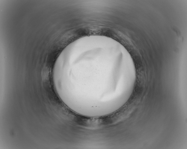 X0000111660225200907311144