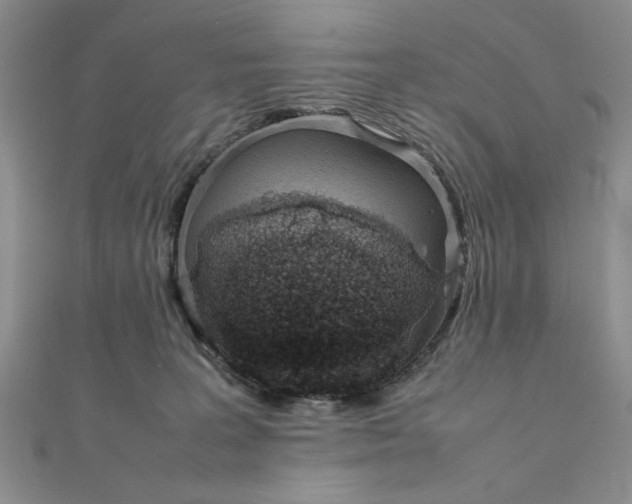 X0000111660227200907311144