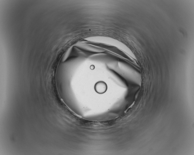 X0000111660229200907311144