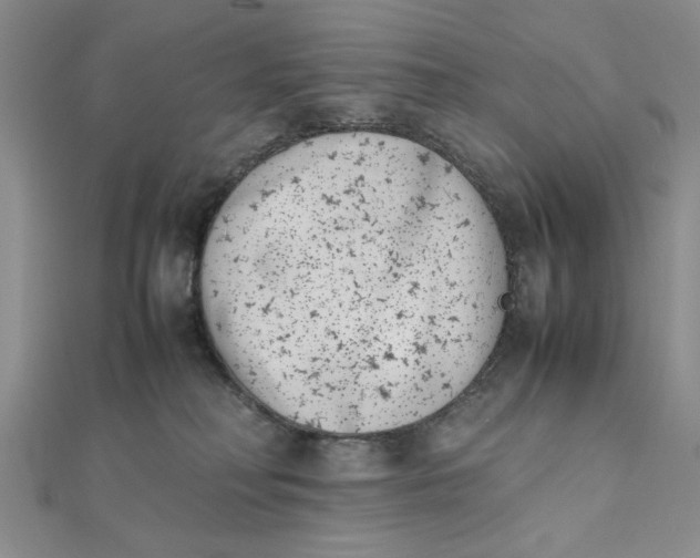 X0000111660230200907311144