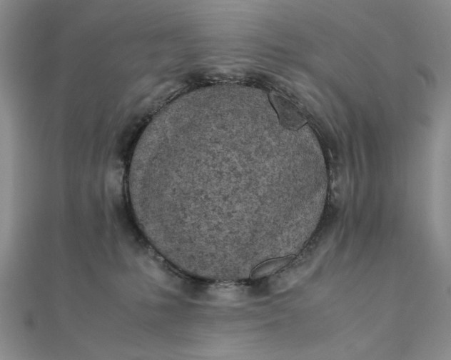 X0000111660231200907311144