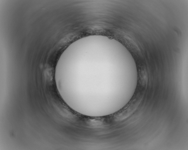 X0000111660232200907311144