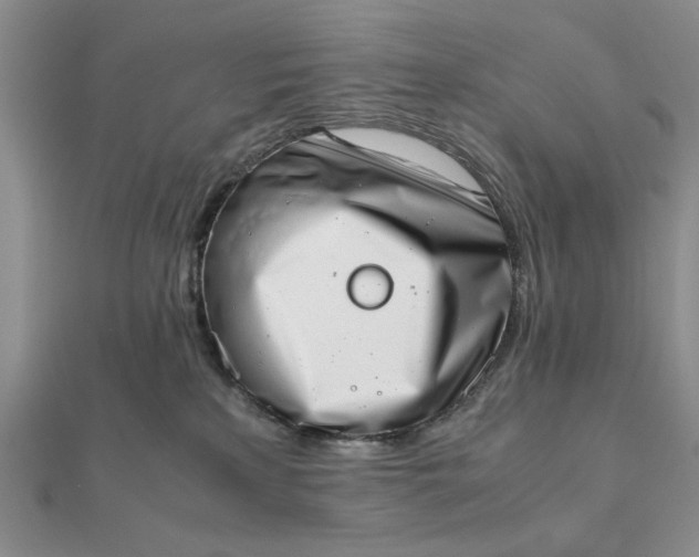 X0000111660233200907311144