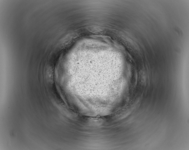 X0000111660234200907311144