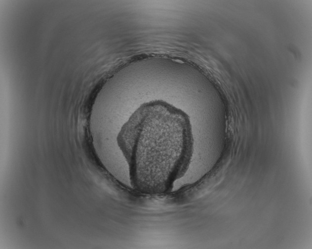 X0000111660235200907311144