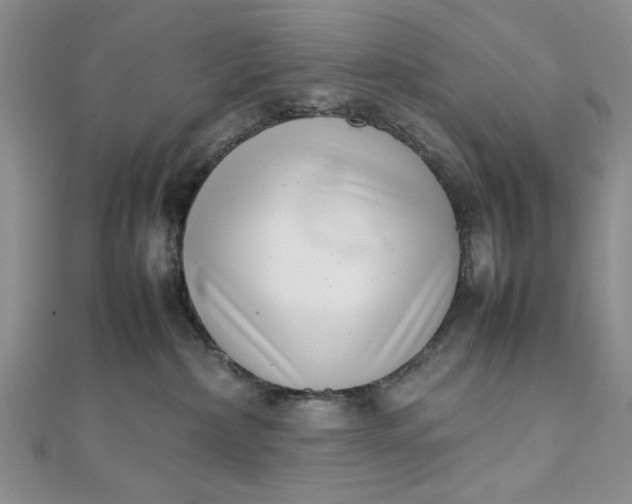 X0000111660236200907311144