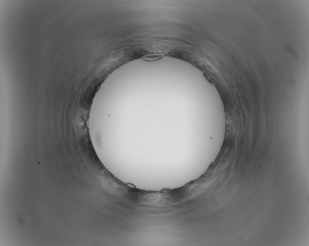 X0000111660237200907311144