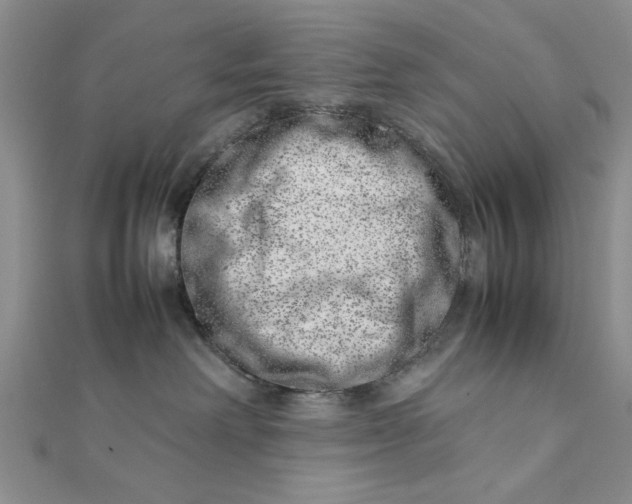 X0000111660238200907311144