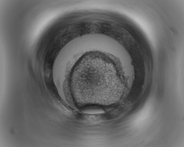 X0000111660239200907311144