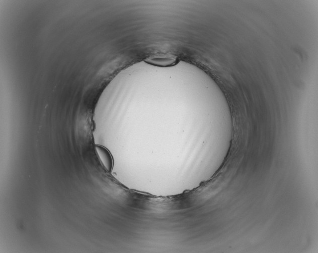 X0000111660240200907311144