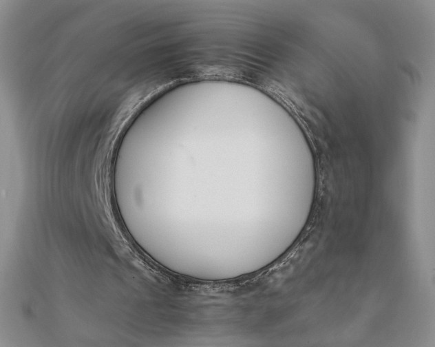 X0000111660241200907311144