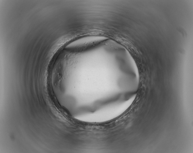 X0000111660242200907311144