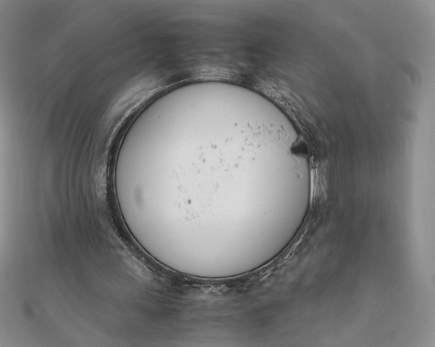 X0000111660243200907311144