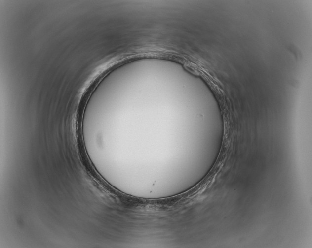 X0000111660244200907311144