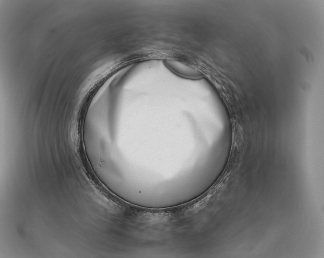 X0000111660245200907311144