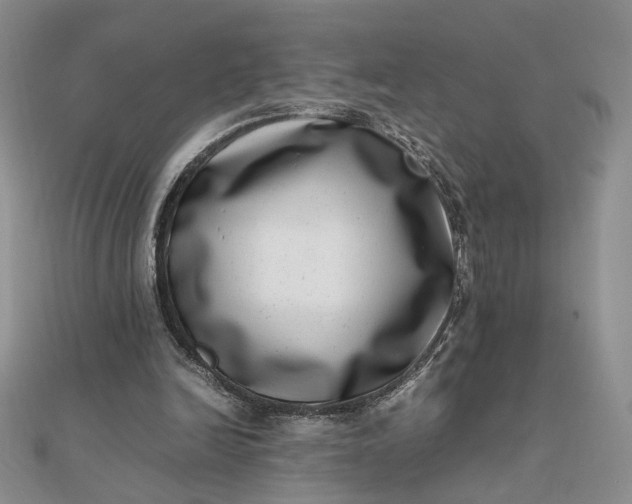 X0000111660246200907311144