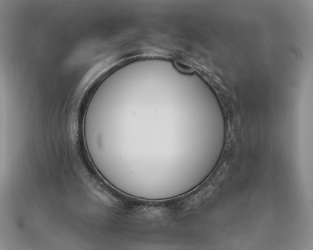 X0000111660247200907311144