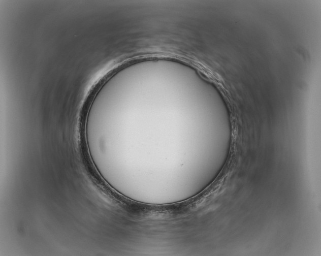 X0000111660248200907311144