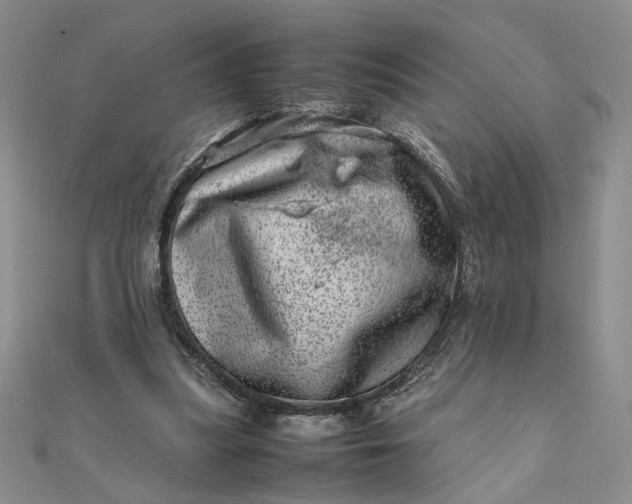 X0000111660251200907311144