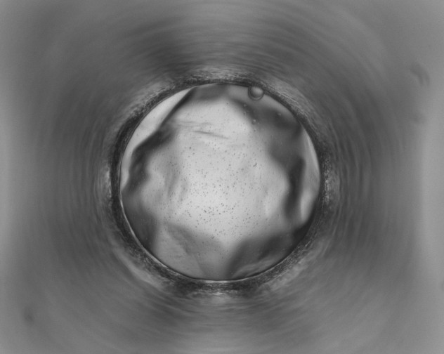 X0000111660254200907311144