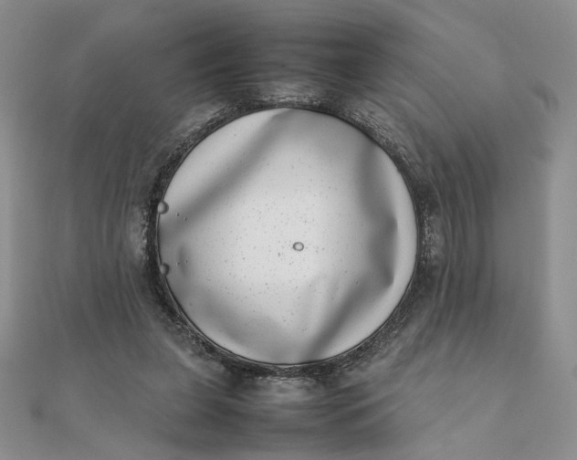 X0000111660255200907311144