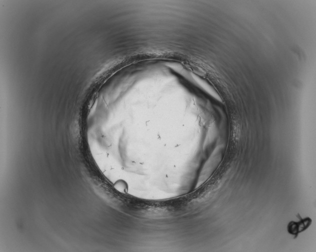 X0000111660256200907311144