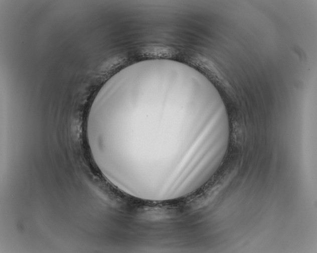 X0000111660259200907311144