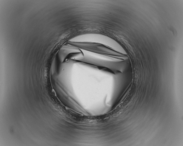 X0000111660260200907311144