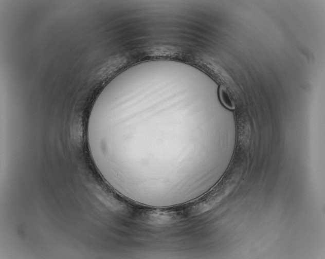 X0000111660261200907311144