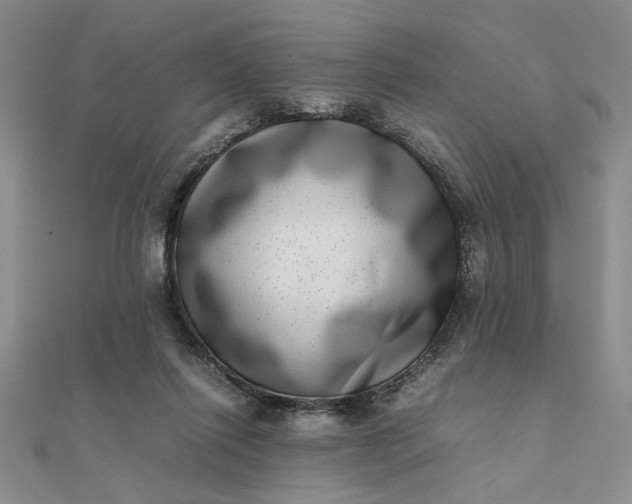 X0000111660262200907311144