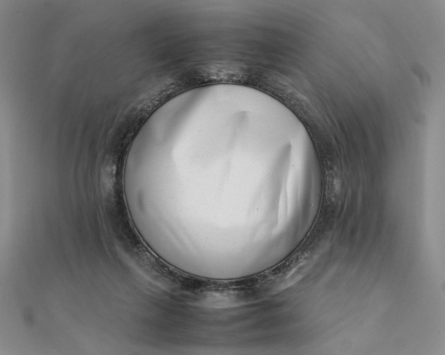 X0000111660263200907311144