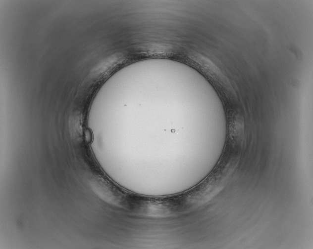 X0000111660264200907311144