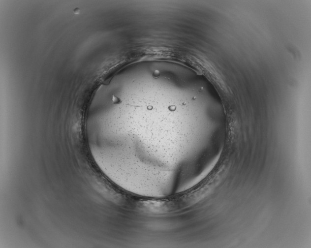 X0000111660265200907311144