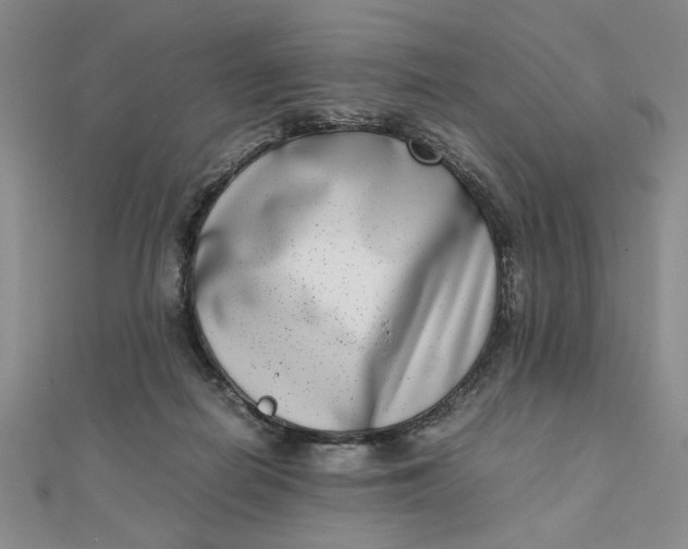 X0000111660266200907311144