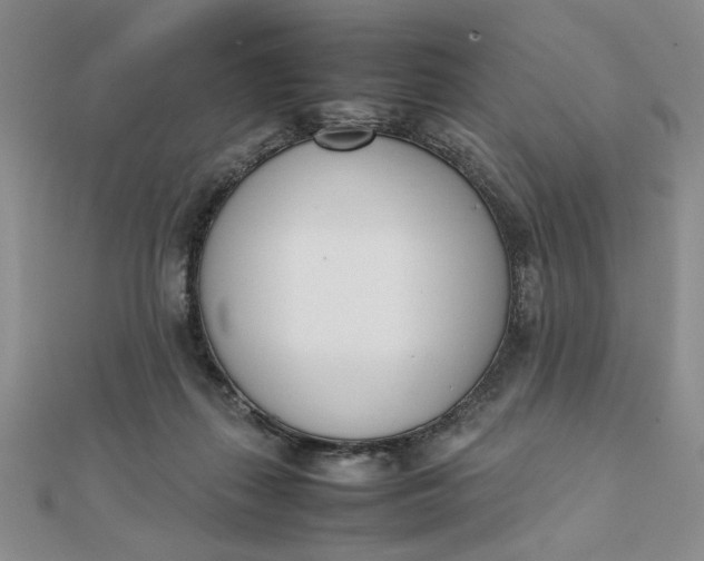 X0000111660267200907311144