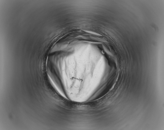 X0000111660268200907311144