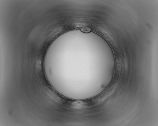 X0000111660269200907311144