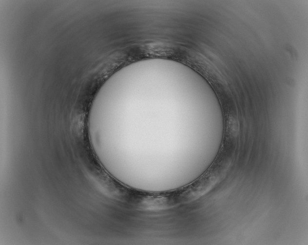 X0000111660271200907311144