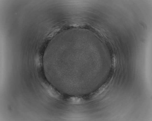 X0000111660272200907311144