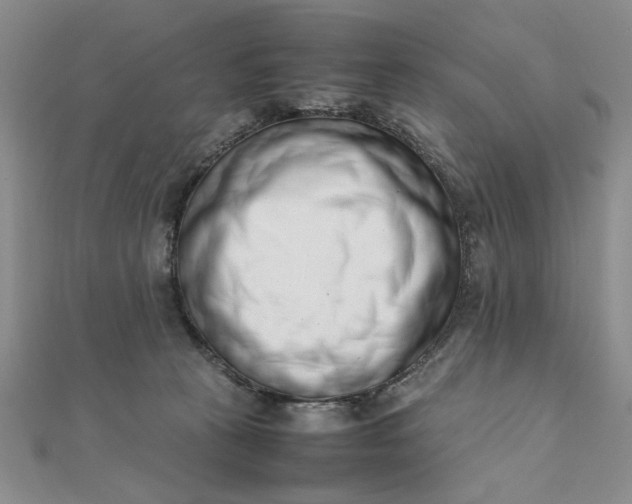 X0000111660273200907311144