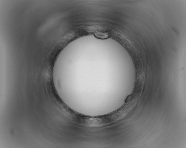 X0000111660277200907311144