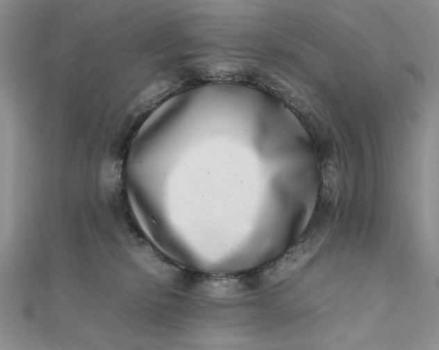 X0000111660278200907311144