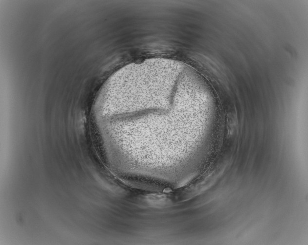 X0000111660279200907311144